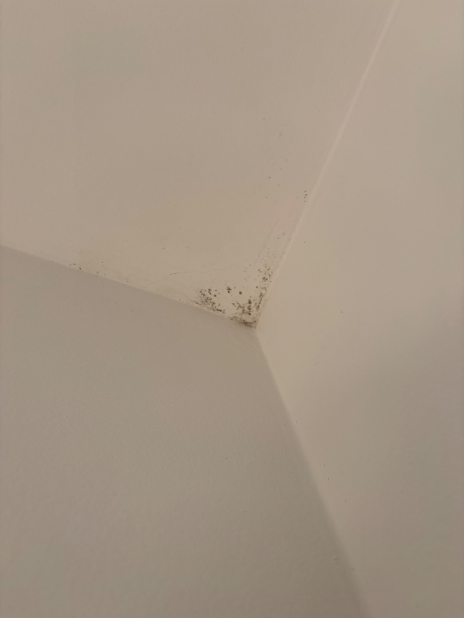 Lessivage Chambre 2 — Avant