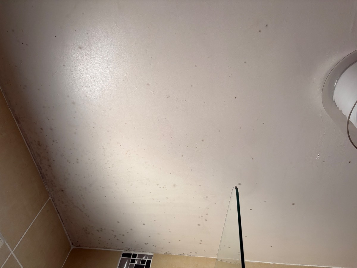 Plafond — Dépoussiérage — Avant